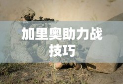 后视镜流媒体什么意思