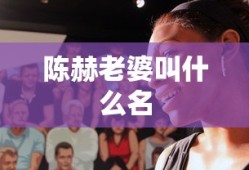 陈赫老婆叫什么名
