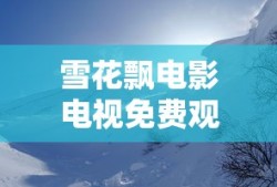 雪花飘电影电视免费观看一水帘洞