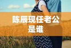 陈辰现任老公是谁