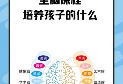 LR宝宝天赋，探索潜能，启迪未来