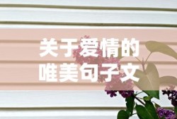 关于爱情的唯美句子文案