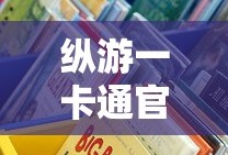纵游一卡通官网进不去