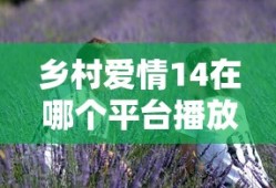 乡村爱情14在哪个平台播放