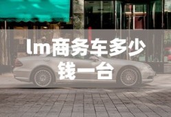 lm商务车多少钱一台