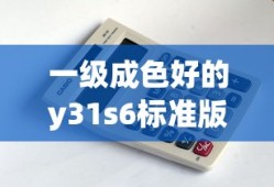 一级成色好的y31s6标准版