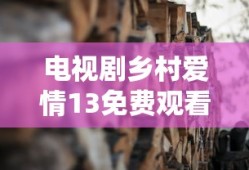 电视剧乡村爱情13免费观看完整版