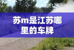 苏m是江苏哪里的车牌