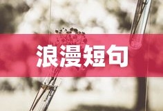 浪漫短句