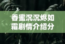 韩版恶作剧之吻2网络版01