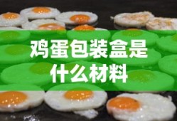 英语什么叫代词