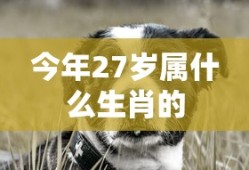 今年27岁属什么生肖的