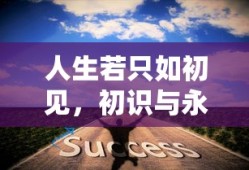 广西卫视节目表今天