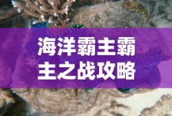 手游联盟海洋亚龙攻略，玩转海洋霸主霸主之战！