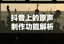 抖音上的原声制作功能解析，制作与可能性探讨