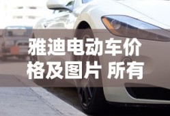 雅迪电动车价格及图片 所有车型