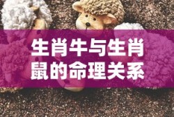 梦幻物语官网入口