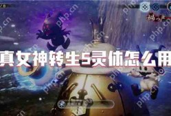 真女神转生5，灵体使用全攻略