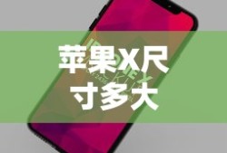 苹果X尺寸多大
