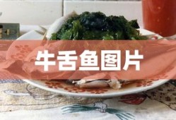 牛舌鱼图片