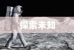 大航海家，探索未知的先驱者之旅