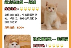 甄嬛传剧情介绍分集