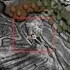 光与影33号远征队克莱雅成就怎么解锁-光与影33号远征队克莱雅成就解锁方式