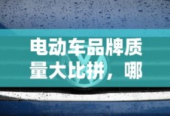 周鸿祎谈造车