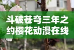 斗破苍穹三年之约樱花动漫在线观看