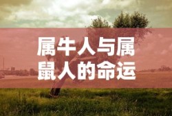 琼恩艾琳是什么身份