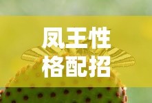凤王性格配招推荐