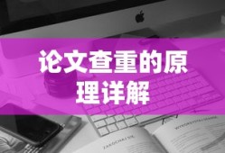 论文查重原理详解