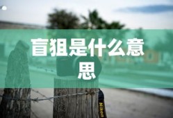 盲狙是什么意思