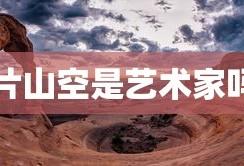 片山空是艺术家吗