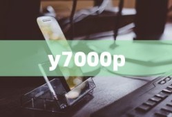 y7000p