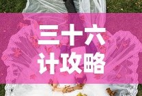 三十六计攻略武将组合