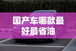 国产车哪款最好最省油