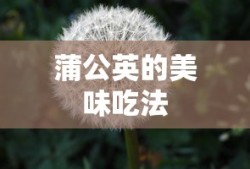 英魂之刃二郎神的技能介绍