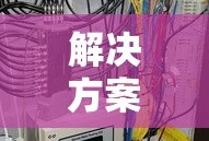 德能勤绩廉五方面表述个人总结