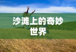 沙滩上的奇妙世界之旅