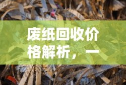 废纸回收价格解析，一斤废纸的价值究竟有多少？