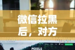 布鲁姆的教学目标分类在哪一章节