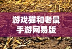 游戏猫和老鼠手游网易版