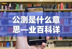 公测，业百科详解
