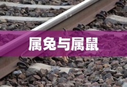 优秀作文开头与结尾的魅力，摘抄与赏析