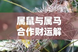 美军装甲车撞韩私家车视频