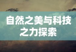 校花的贴身高手同人小说
