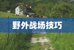 坂本龙司coop攻略