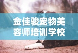 金佳骏宠物美容师培训学校