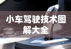 名扬天下三合局,风起云涌鑫字开什么生肖